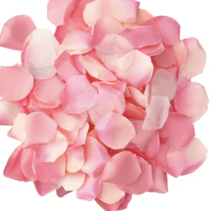 DIABLO PICANTE - 100 PÉTALOS ROSA